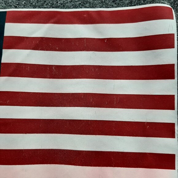 Team USA 2016 Rio De Janeiro Olympics Gray T-Shirt Mens Large - Picture 3 of 7